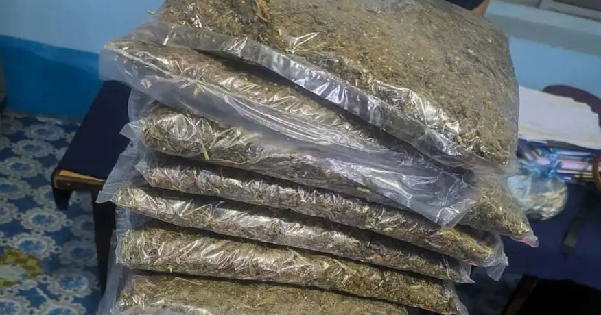 लागूऔषधविरुद्धको महाअभियान : धनकुटाबाट दुईसहित १३ जना पक्राउ
