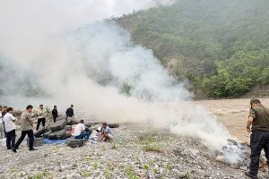 धनकुटामा जलाइयो एक हजार किलो गाँजा