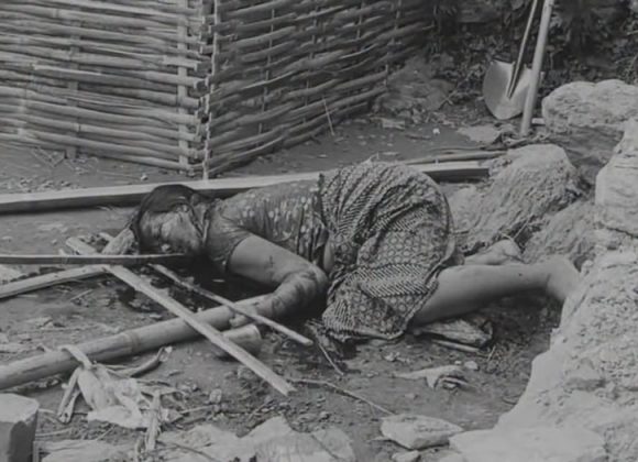 तेह्रथुम घटना अपडेट : धारिलो हतियार प्रहारबाट महिलाको घटनास्थलमै मृत्यु, आरोपित फरार