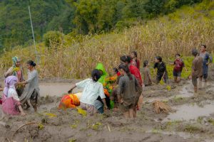 आधुनिकता र प्रविधिसँगै हरायो मौलिक बेठी र असारे भाका