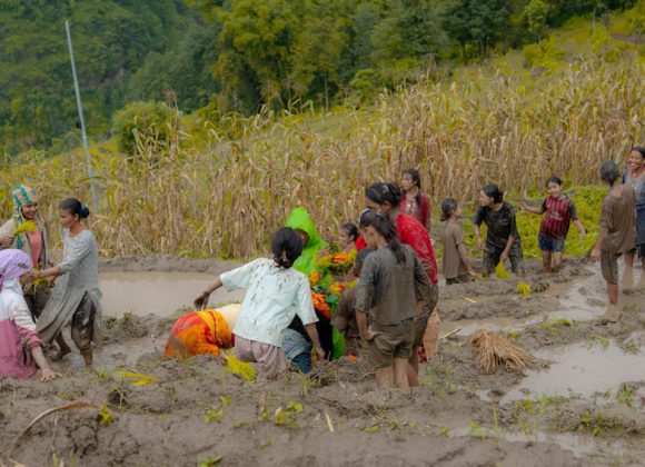आधुनिकता र प्रविधिसँगै हरायो मौलिक बेठी र असारे भाका
