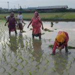 किसानलाई सँधै मलकै चिन्ता