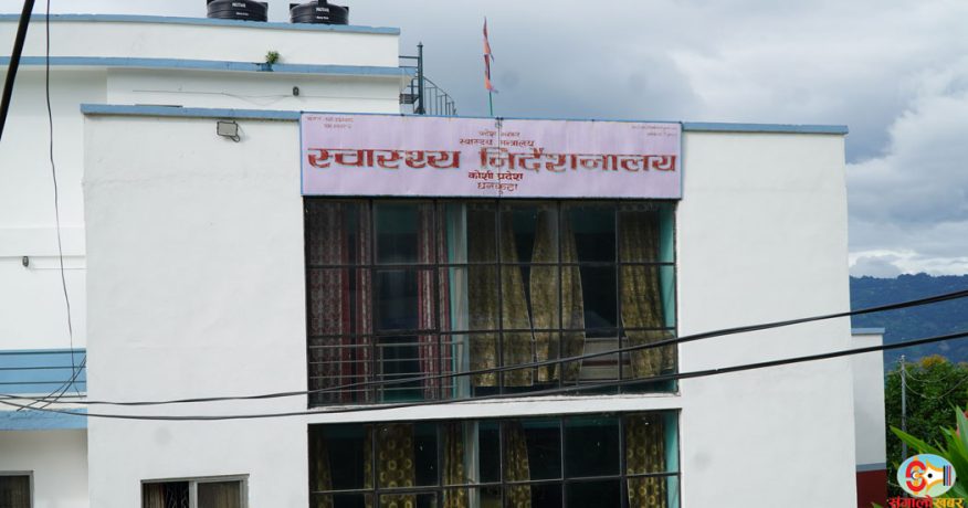 कोशी प्रदेशमा डेंगु संक्रमण घट्यो