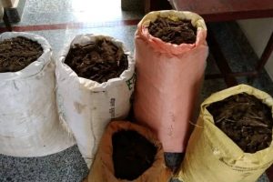 धनकुटाबाट ७२ किलो गाँजासहित दुई जना पक्राउ