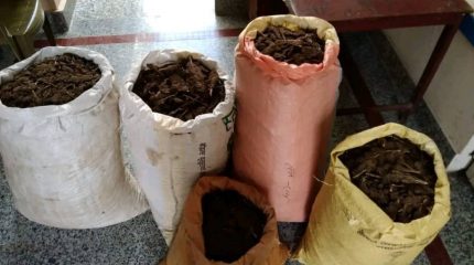 धनकुटाबाट ७२ किलो गाँजासहित दुई जना पक्राउ