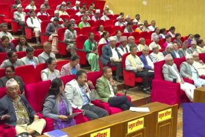 कोशी प्रदेश सरकारको बजेट पारित