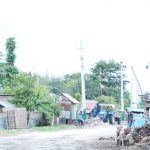 विराटनगरको नोबेल अस्पताल छेउको सुकुम्बासी बस्ती तत्काल नहटाइने