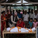 विपद्का घटना : साढे तीन महिनामा १९६ जनाको मृत्यु, सर्पदंशबाट ज्यान गुमाउनेको संख्या धेरै 