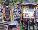 मोरङको जहदाबाट गाँजासहित सफारी चालक पक्राउ