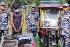 मोरङको जहदाबाट गाँजासहित सफारी चालक पक्राउ