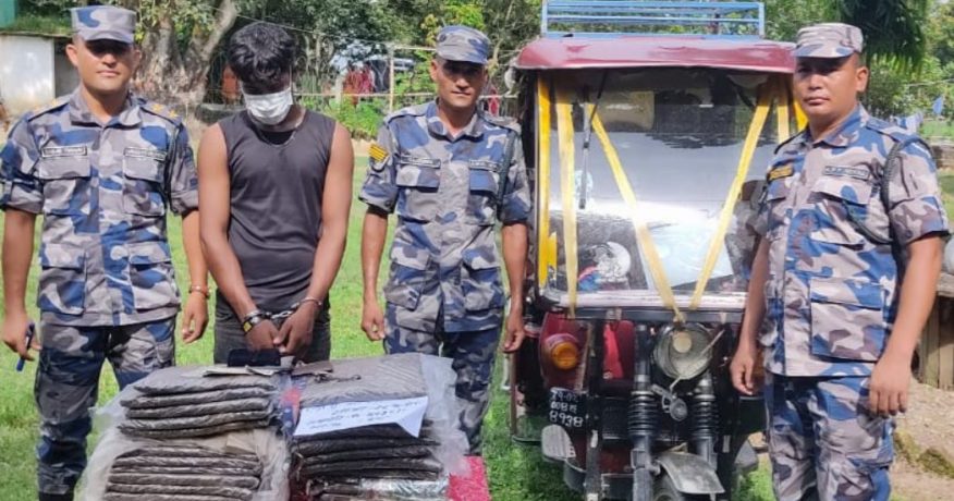 मोरङको जहदाबाट गाँजासहित सफारी चालक पक्राउ