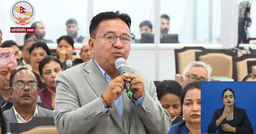 गाँजा खेतीलाई कानुनी मान्यता दिन सांसद राईले गराए सरकारको ध्यानाकर्षण