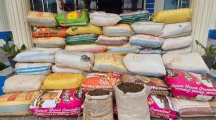 धनकुटाबाट ८ सय ४ किलो गाँजासहित दुई जना पक्राउ