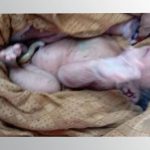विराटनगरमा धानखेतभित्र भेटियो सालनालसहितको शिशु