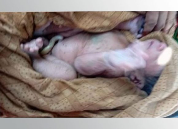 विराटनगरमा धानखेतभित्र भेटियो सालनालसहितको शिशु
