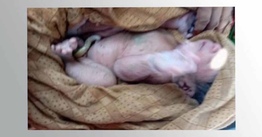 विराटनगरमा धानखेतभित्र भेटियो सालनालसहितको शिशु