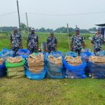 मोरङमा भारतबाट बोइलरका चल्ला तस्करी