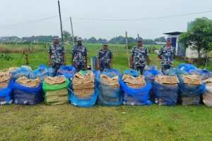 मोरङमा भारतबाट बोइलरका चल्ला तस्करी