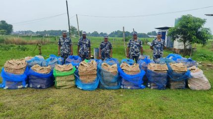मोरङमा भारतबाट बोइलरका चल्ला तस्करी