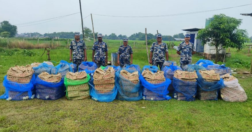 मोरङमा भारतबाट बोइलरका चल्ला तस्करी