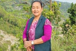 मोरङमा सफारीले ठक्कर दिँदा गाउँपालिका अध्यक्ष घाइते