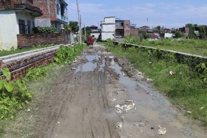 विराटनगर १ का वडाध्यक्ष बस्नेत भन्छन् : गिट्टी-बालुवा नपाउँदा समता मार्ग मर्मतमा ढिलाइ भयो