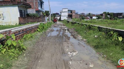 विराटनगर १ का वडाध्यक्ष बस्नेत भन्छन् : गिट्टी-बालुवा नपाउँदा समता मार्ग मर्मतमा ढिलाइ भयो