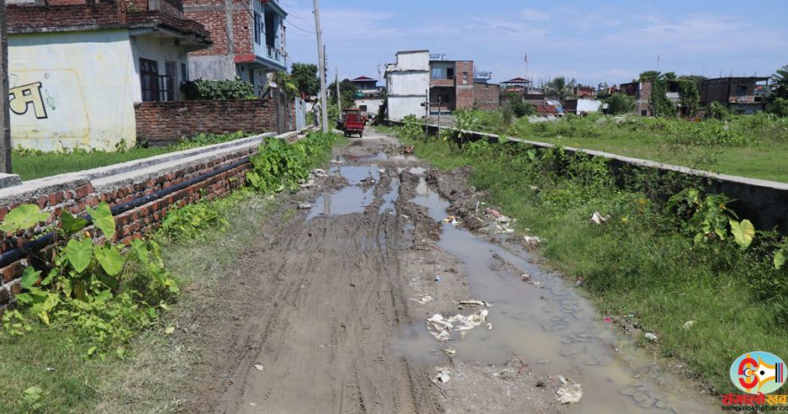 विराटनगर १ का वडाध्यक्ष बस्नेत भन्छन् : गिट्टी-बालुवा नपाउँदा समता मार्ग मर्मतमा ढिलाइ भयो