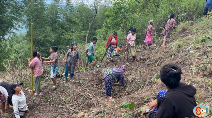 धनकुटाको मार्गथान क्षेत्रमा रोपियो २ हजार बिरुवा
