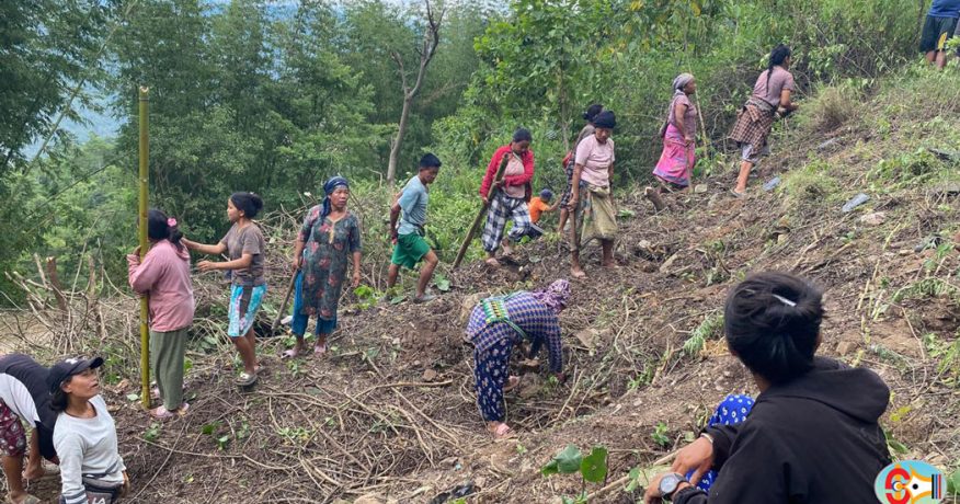 धनकुटाको मार्गथान क्षेत्रमा रोपियो २ हजार बिरुवा