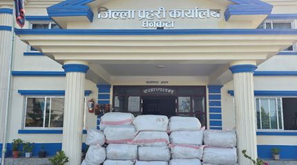 धनकुटाबाट ट्रकसहित १ हजार २ सय ४० किलो गाँजा बरामद