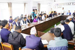 धनकुटामा अलपत्र पूर्वाधार आयोजनाहरूको काम तत्काल समाधान गर्न माग