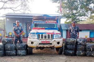जहदामा तरकारी बोकेको गाडीबाट ५७० किलो गाँजा बरामद