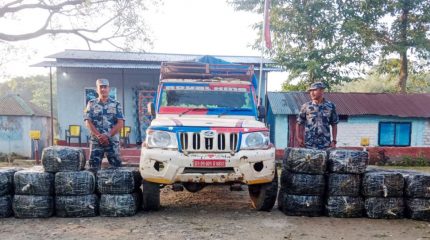 जहदामा तरकारी बोकेको गाडीबाट ५७० किलो गाँजा बरामद