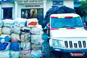 उदयपुरमा पार्किङ गरेको बोलेरोभित्र भेटियो ९४० किलो गाँजा