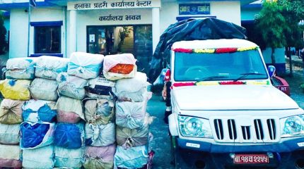 उदयपुरमा पार्किङ गरेको बोलेरोभित्र भेटियो ९४० किलो गाँजा