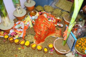 धनकुटाको निशान भगवती मन्दिरमा राखियो जमरा (फोटो फिचर)