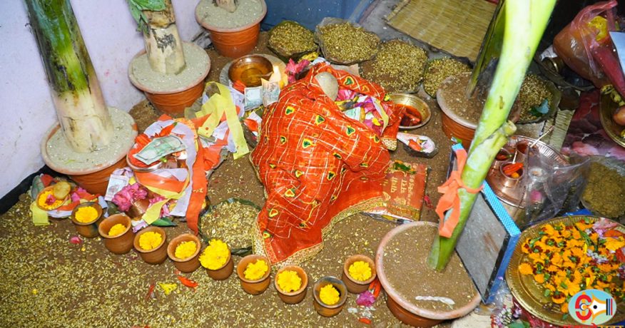 धनकुटाको निशान भगवती मन्दिरमा राखियो जमरा (फोटो फिचर)
