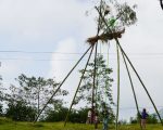 धनकुटामा घट्दै पिङको रौनकता : लोप हुँदै गएको मौलिक संस्कृति जोगाउन चुनौती