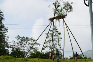 धनकुटामा घट्दै पिङको रौनकता : लोप हुँदै गएको मौलिक संस्कृति जोगाउन चुनौती