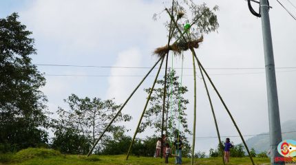 धनकुटामा घट्दै पिङको रौनकता : लोप हुँदै गएको मौलिक संस्कृति जोगाउन चुनौती