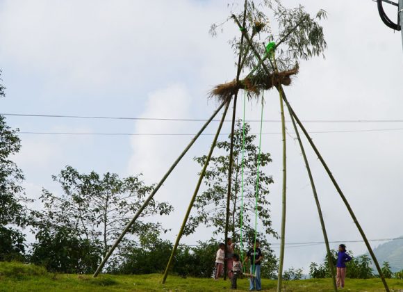 धनकुटामा घट्दै पिङको रौनकता : लोप हुँदै गएको मौलिक संस्कृति जोगाउन चुनौती