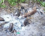 धनकुटामा आगोले जलेर ९२ वर्षीया वृद्धाको मृत्यु