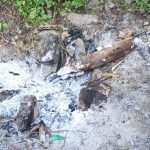 धनकुटामा आगोले जलेर ९२ वर्षीया वृद्धाको मृत्यु