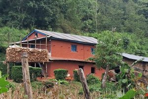 धनकुटामा हराउँदै रातो माटोले घर पोत्ने प्रचलन